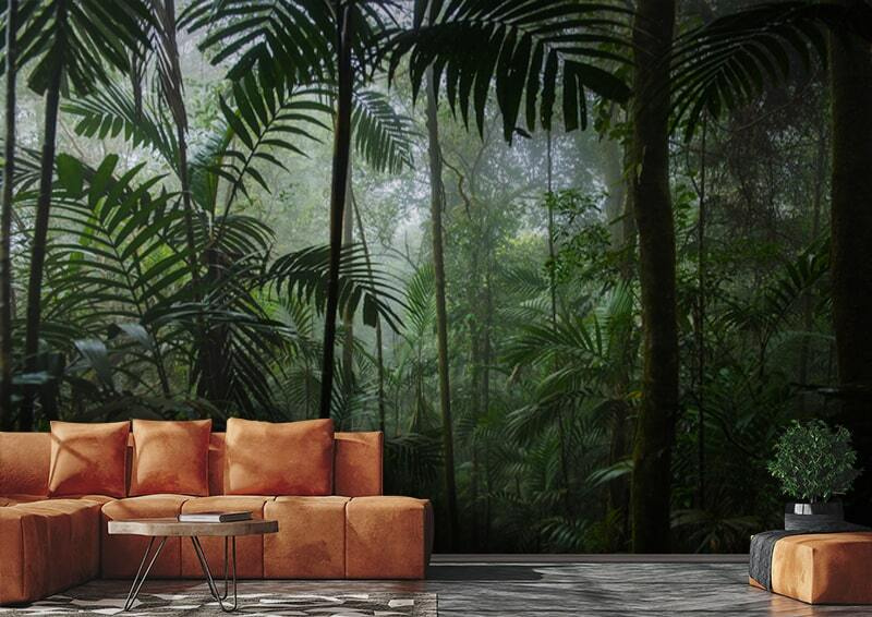 Dicht bos met hoge bomen in een interieur
