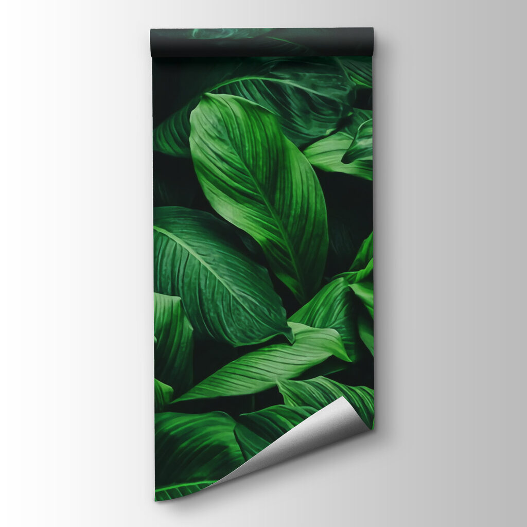 Groep grote groene bladeren — productweergave