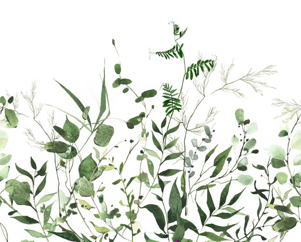 Weelderig groen op een witte achtergrond — volledig ontwerp