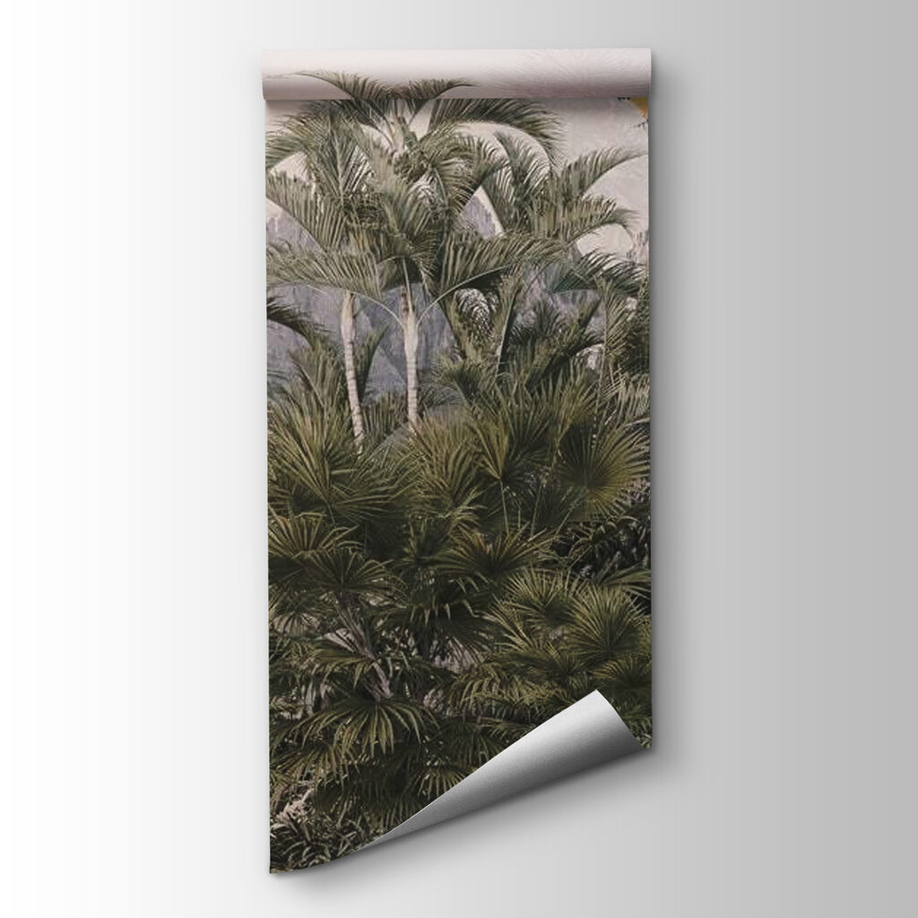Vogels boven verre jungle — productweergave