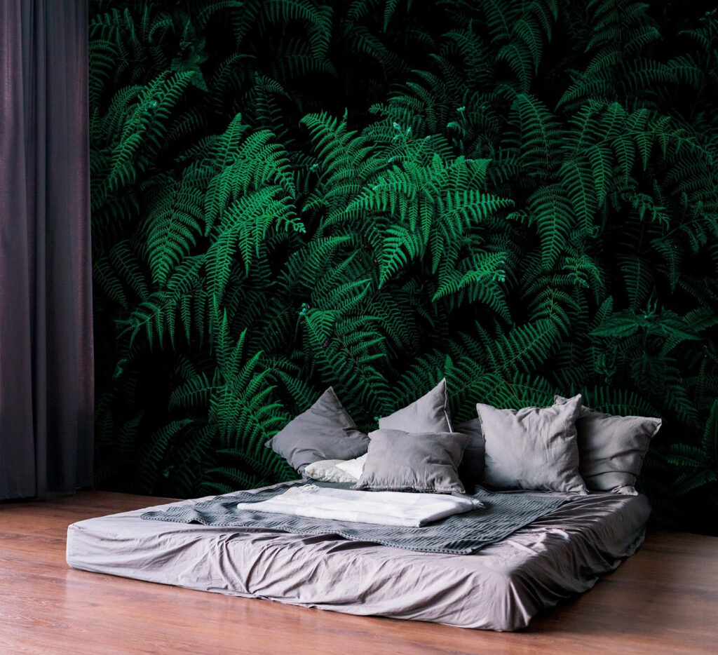 Groene varens in schaduw — interieur 2