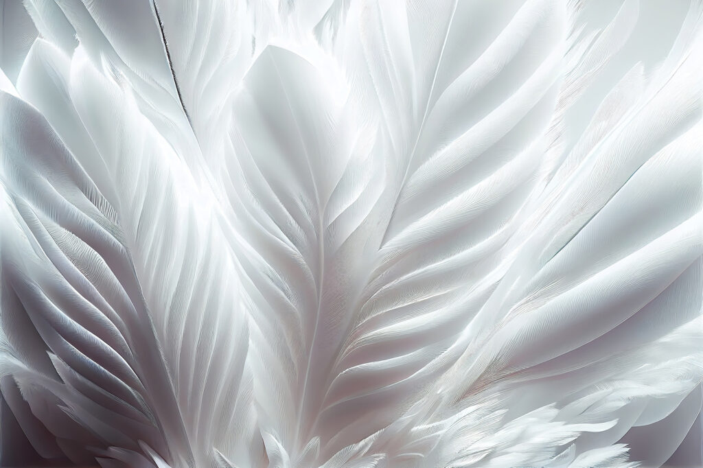 Witte veren in close-up — volledig ontwerp