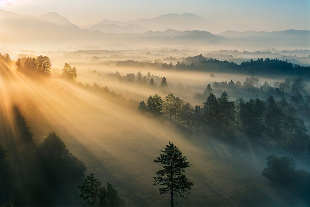 Zonnestralen over slapend bos — volledig ontwerp