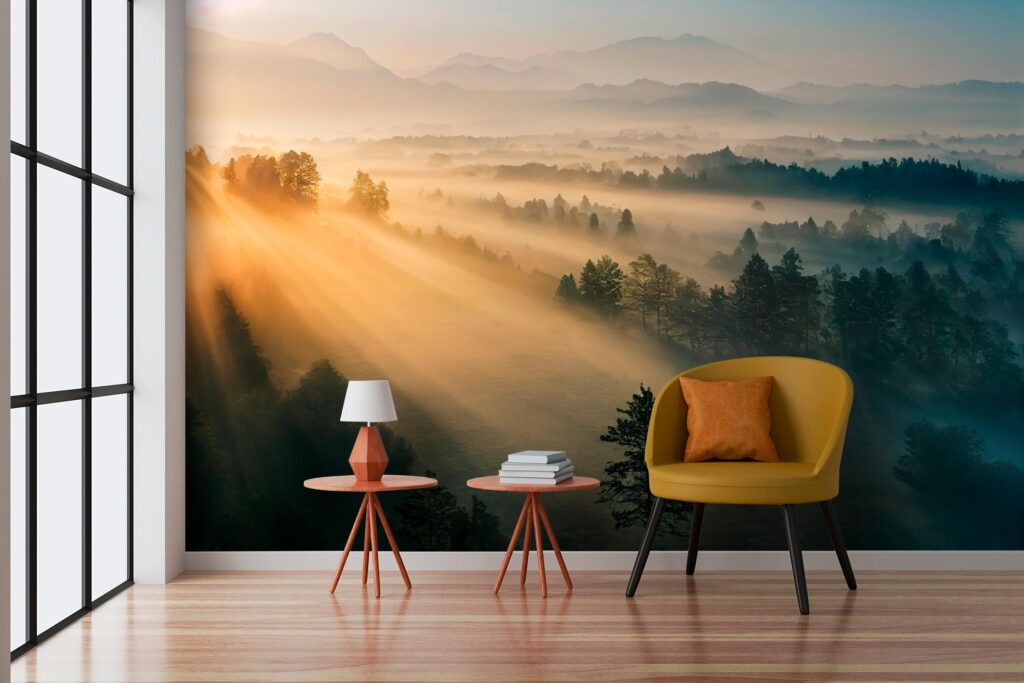Zonnestralen over slapend bos — interieur 2