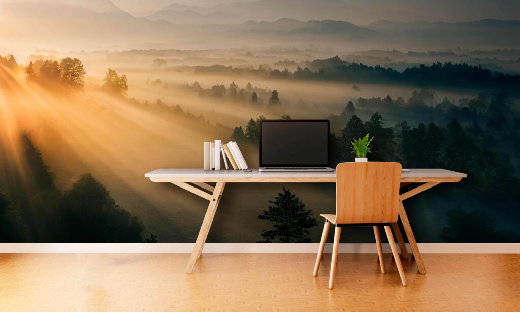 Zonnestralen over slapend bos — interieur 3