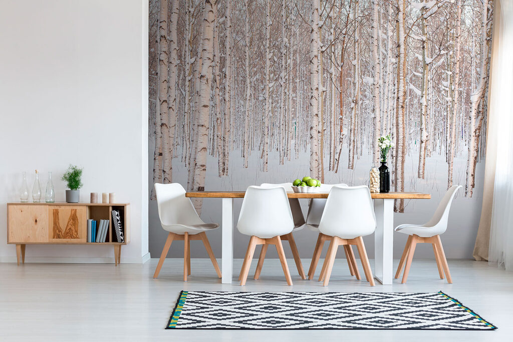 Berken in een sneeuwveld — interieur 5