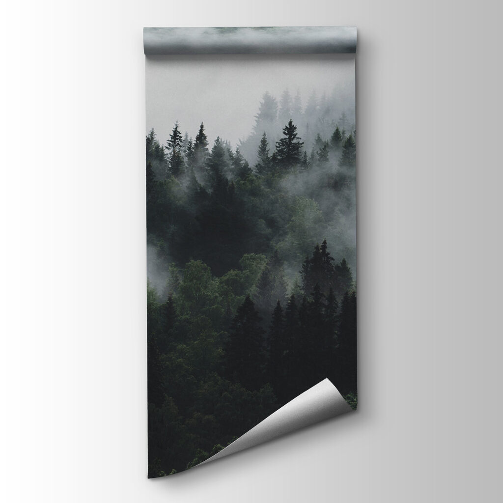 Mist over donkere kruinen — productweergave