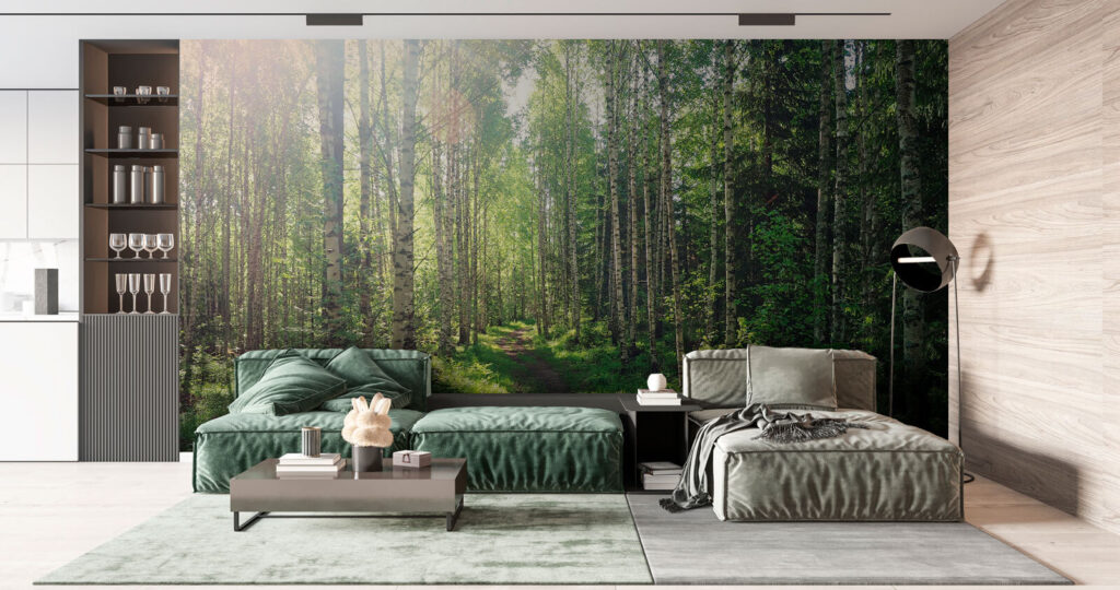 Zonlicht over groen bospad — interieur 3