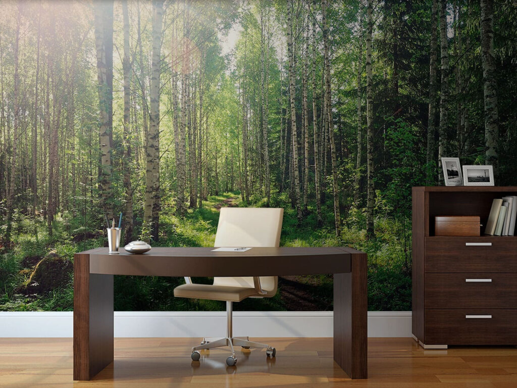 Zonlicht over groen bospad — interieur 1