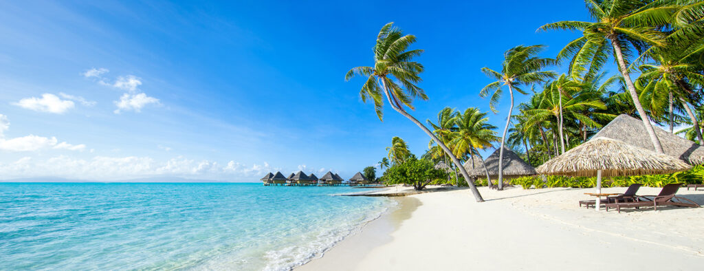 Palmstrand met een rietenhut — volledig ontwerp