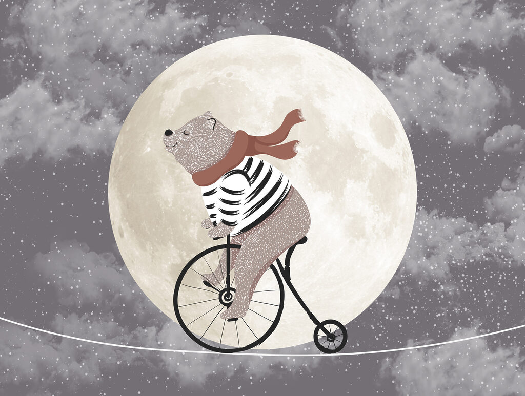 Beer fietst bij maanlicht — volledig ontwerp