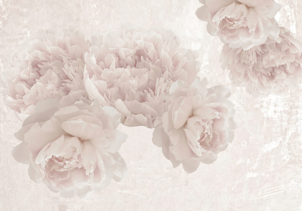 Groep witte bloemen — volledig ontwerp