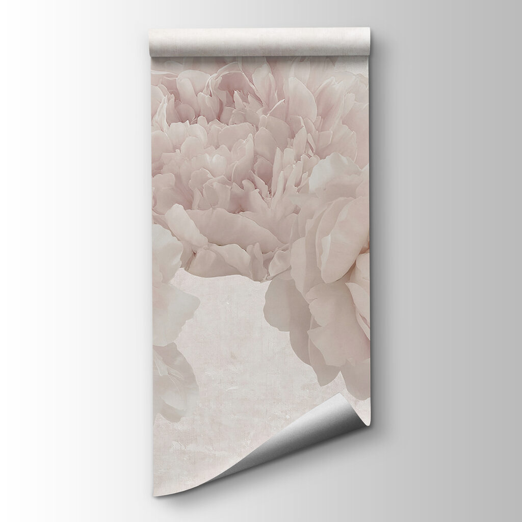 Groep witte bloemen — productweergave