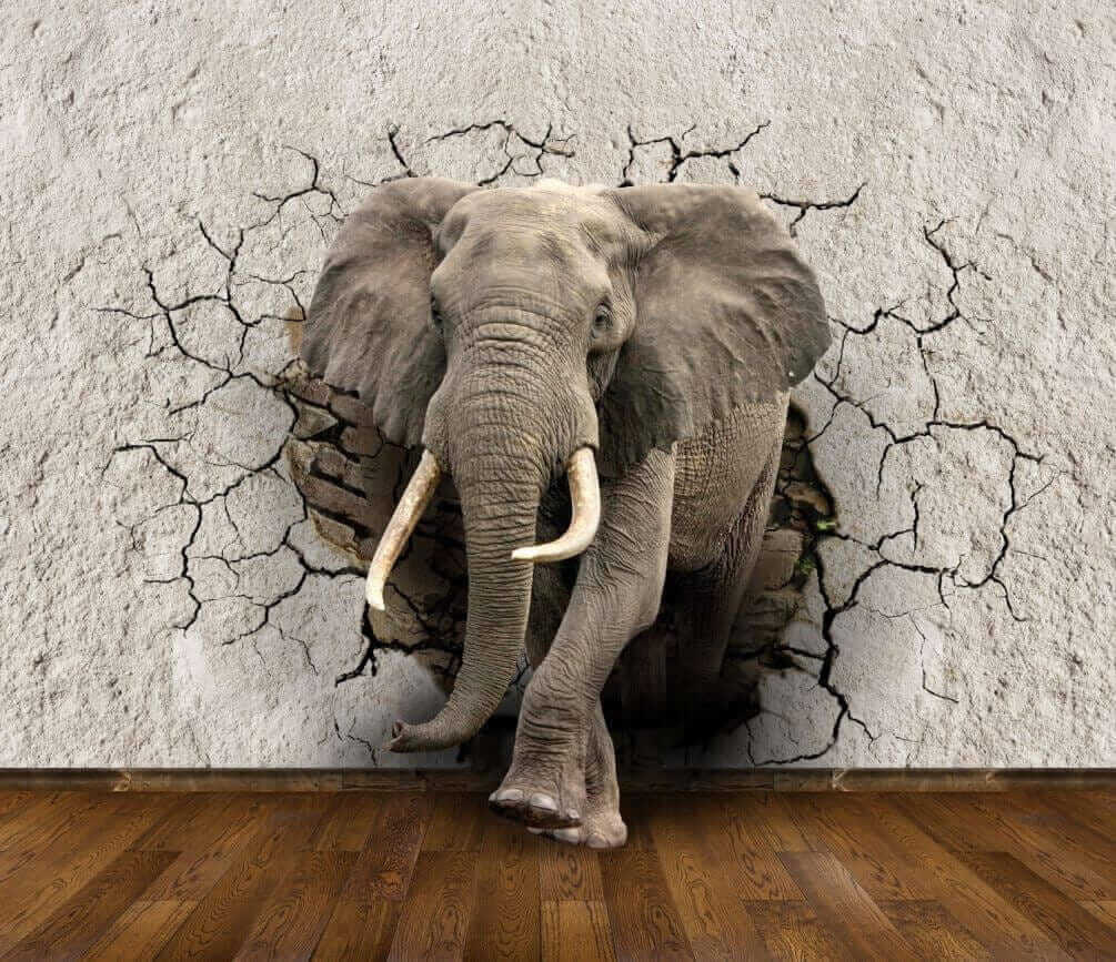 Olifant door gebarsten muur — volledig ontwerp