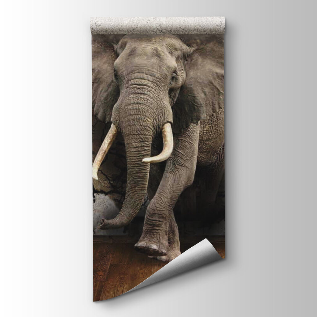 Olifant door gebarsten muur — productweergave
