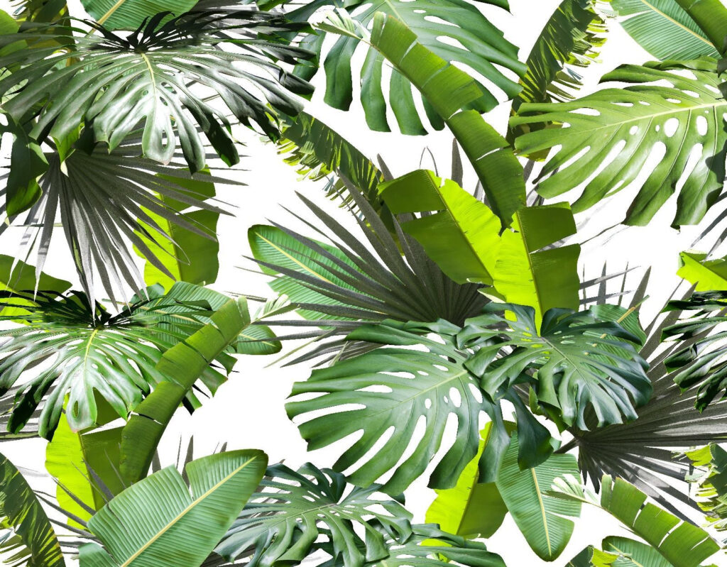 Groene junglebladeren vangen licht — volledig ontwerp