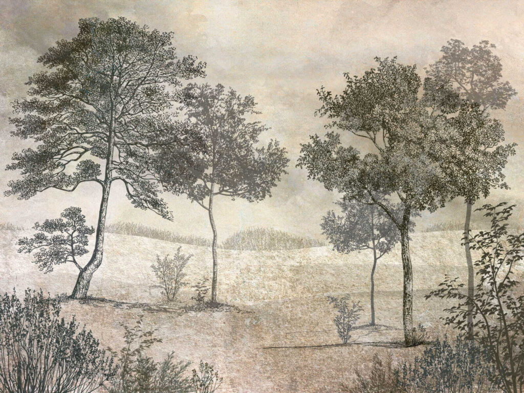 Tekening van bomen in een veld — volledig ontwerp
