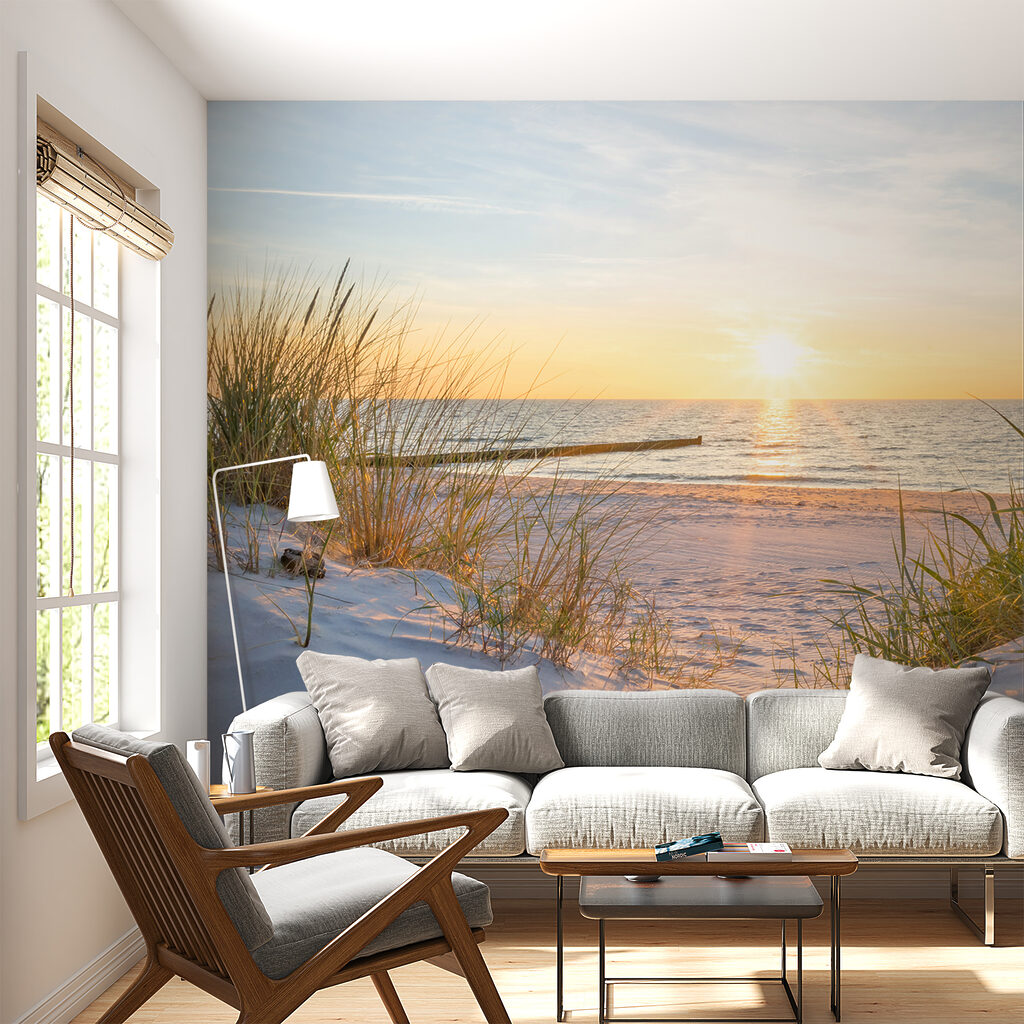Duingras bij laag zonlicht — interieur 4