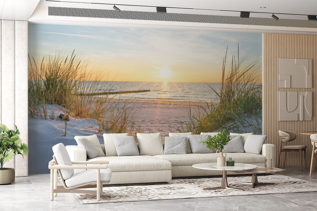 Duingras bij laag zonlicht — interieur 3