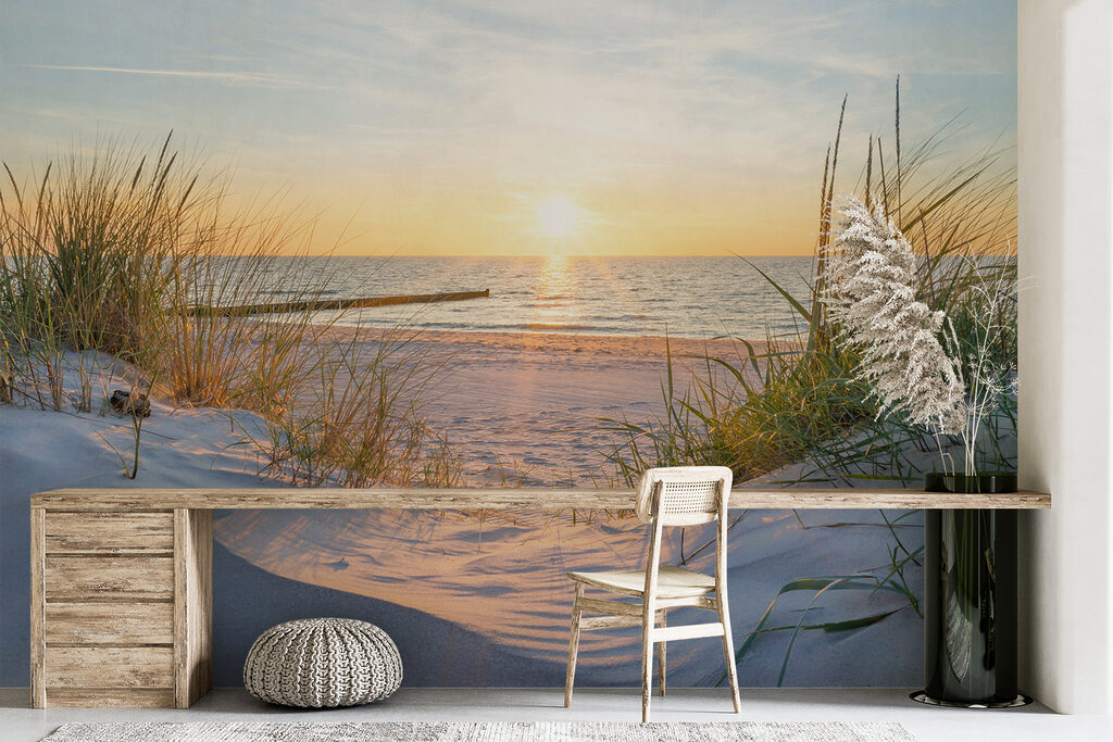 Duingras bij laag zonlicht — interieur 5