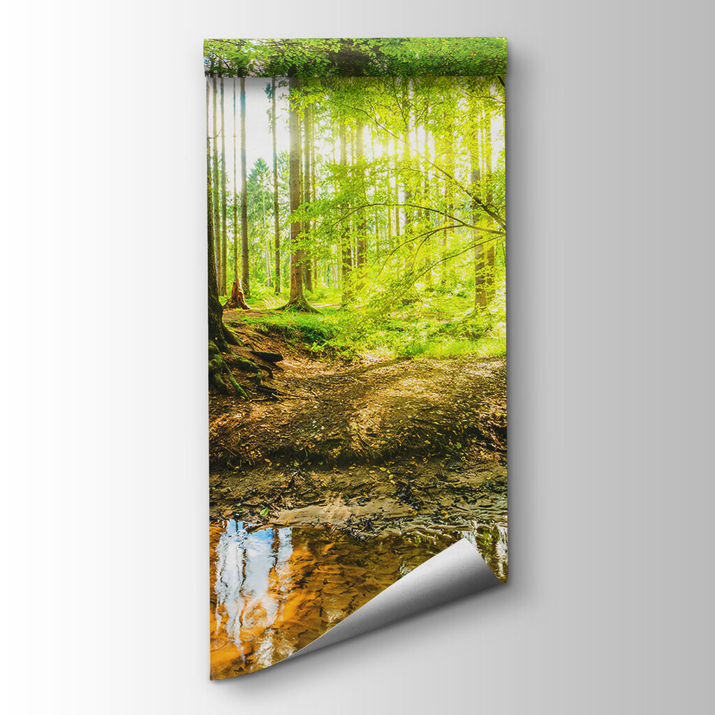 Beek in een bos — productweergave