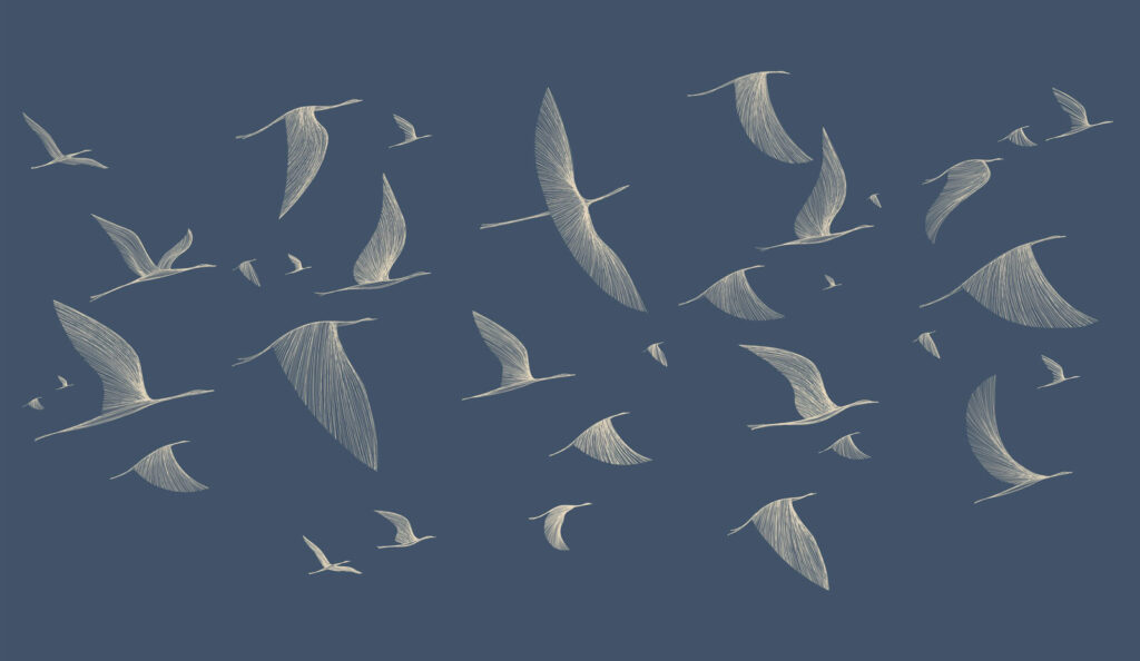 Groep vliegende vogels — volledig ontwerp