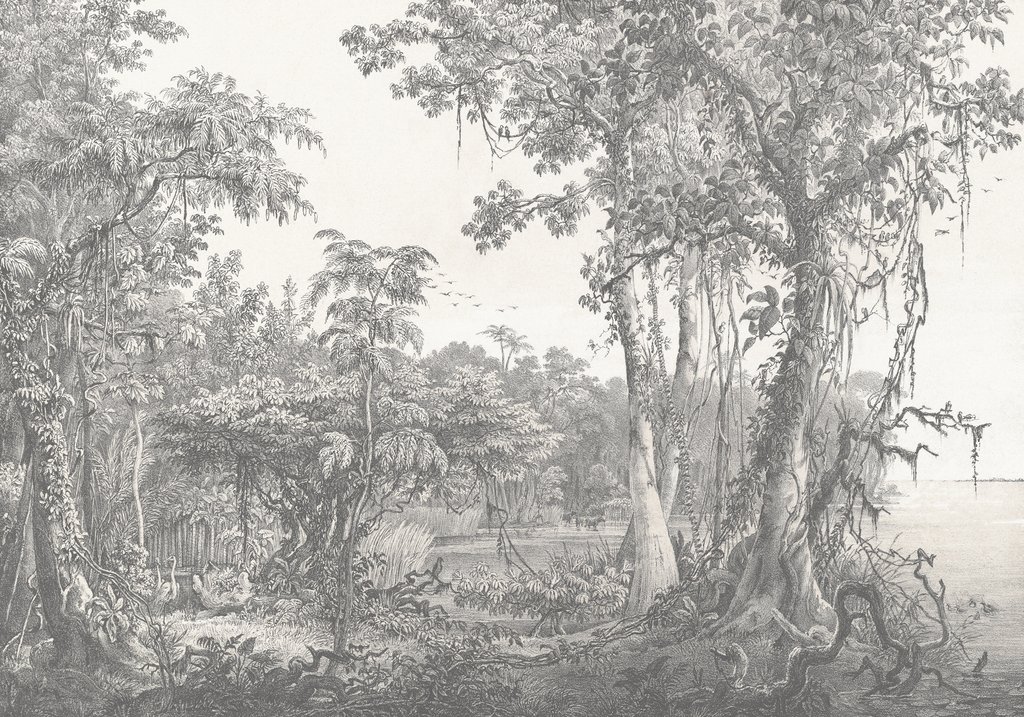 Oerbos in fijne lijnen — volledig ontwerp