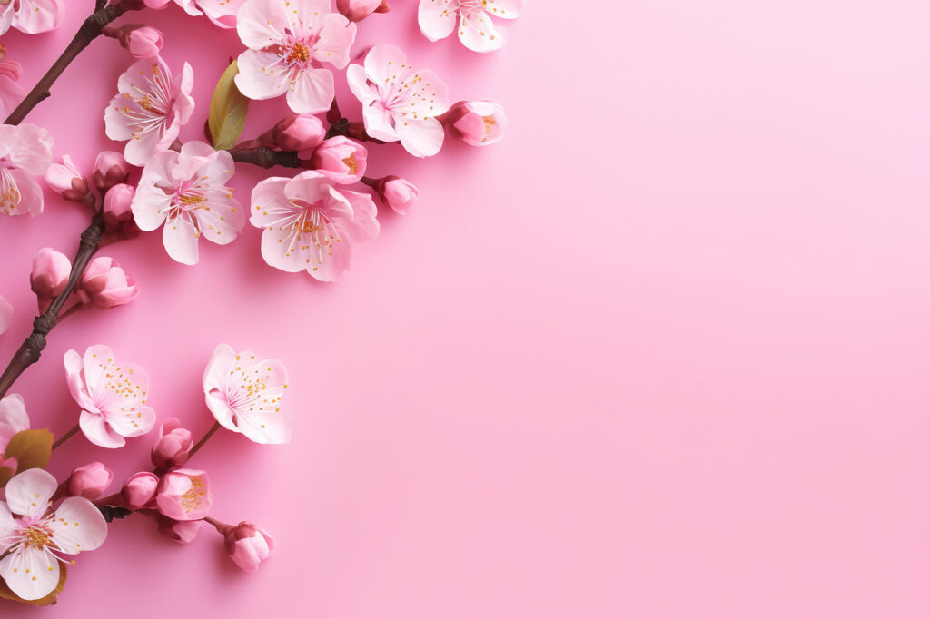 Groep roze bloemen op roze achtergrond — volledig ontwerp
