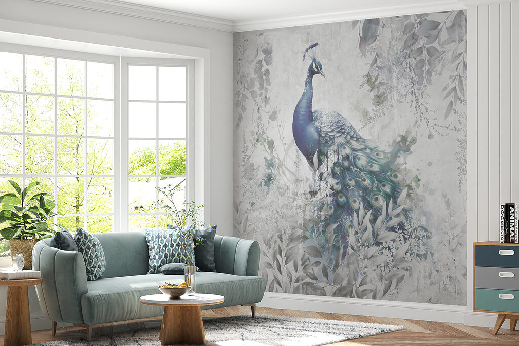 Pauw met veren op witte achtergrond in een interieur