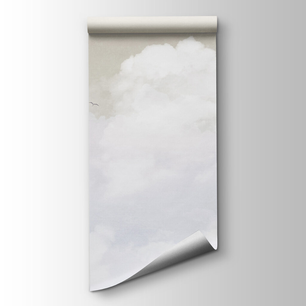 Witte wolken onder grijsgroen — productweergave