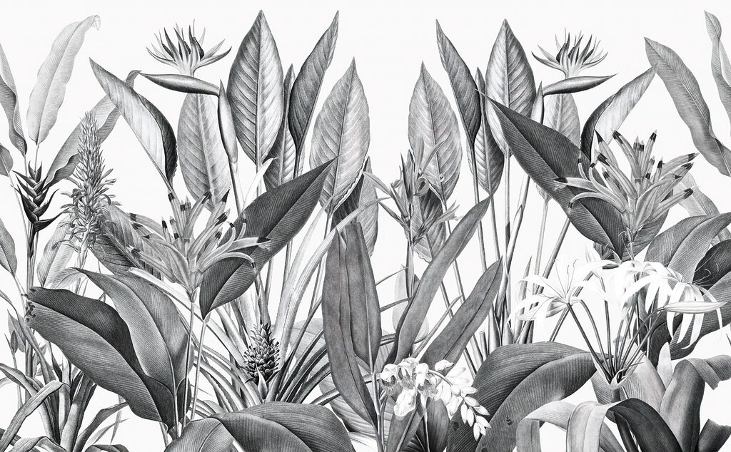 Tropisch gebladerte in monochrome tinten — volledig ontwerp