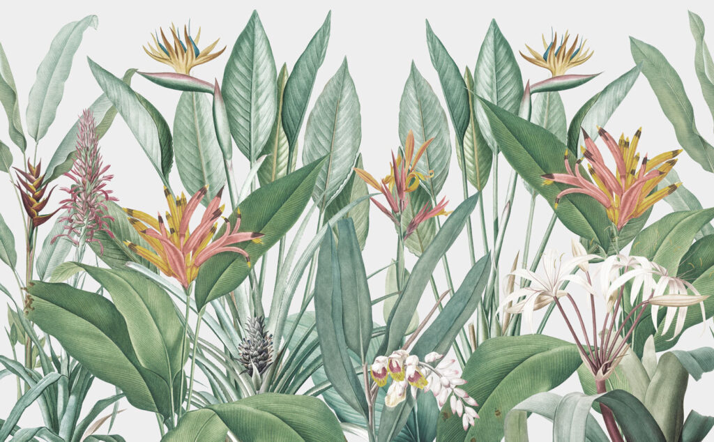 Paradijsbloemen tussen groen blad — volledig ontwerp
