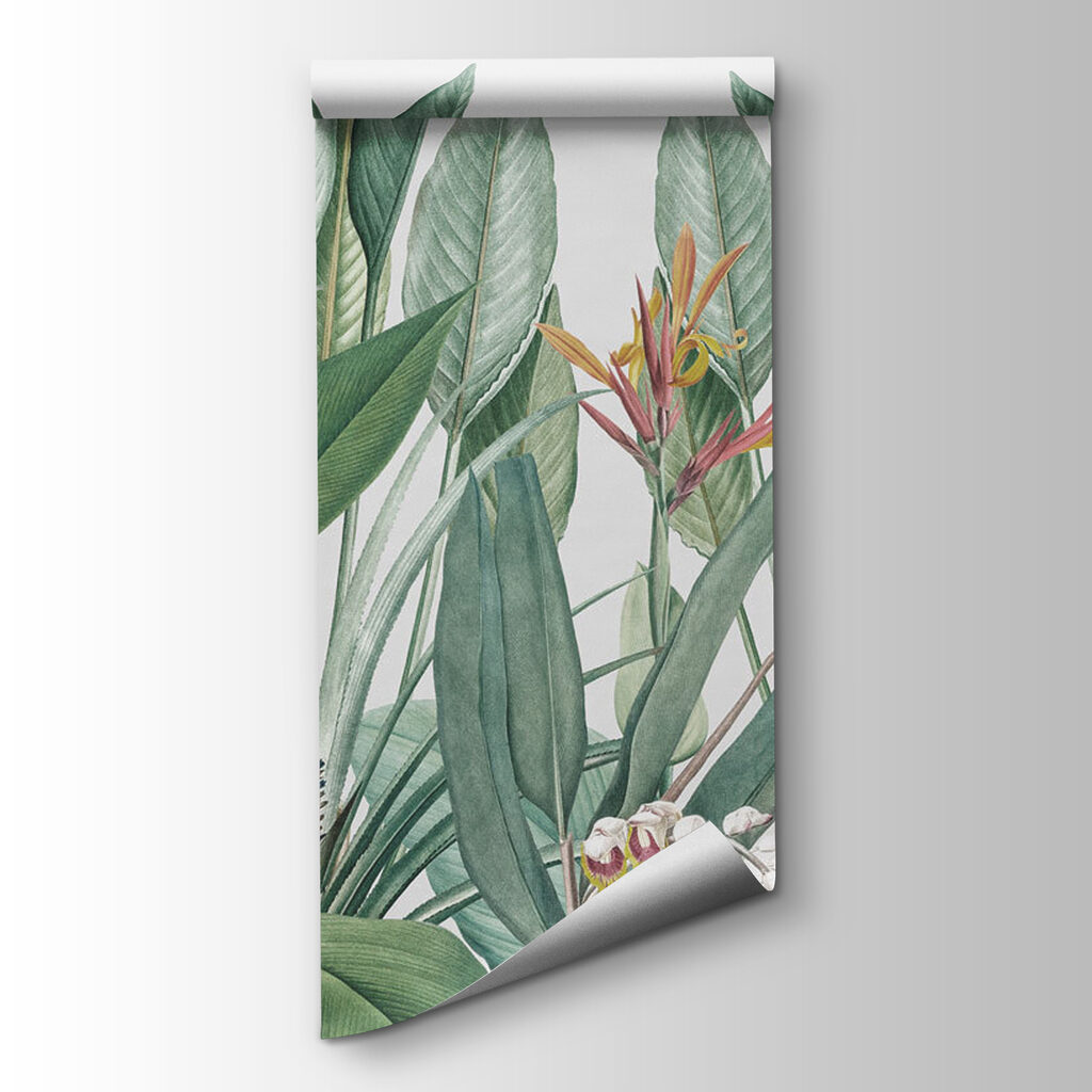 Paradijsbloemen tussen groen blad — productweergave