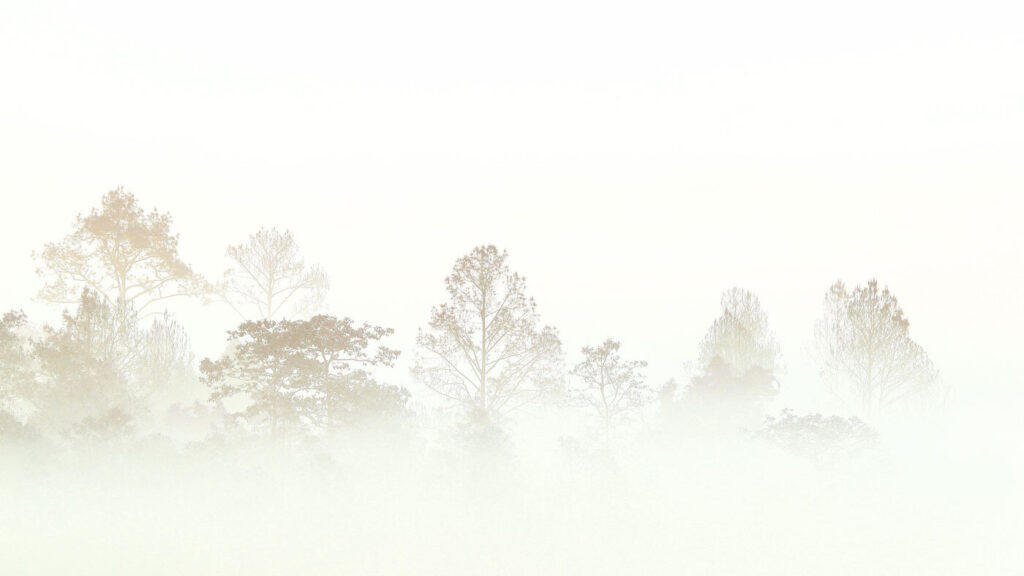 Bomen in de mist — volledig ontwerp