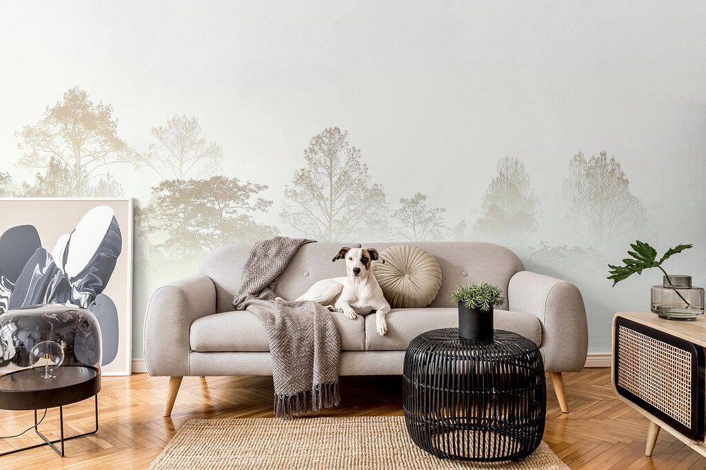 Bomen in de mist — interieur 4