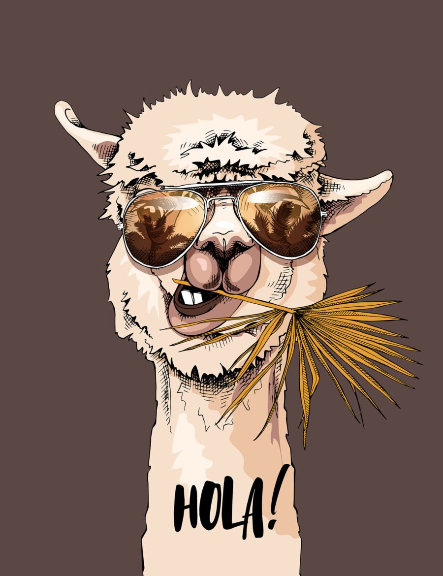 Lama met een zonnebril — volledig ontwerp