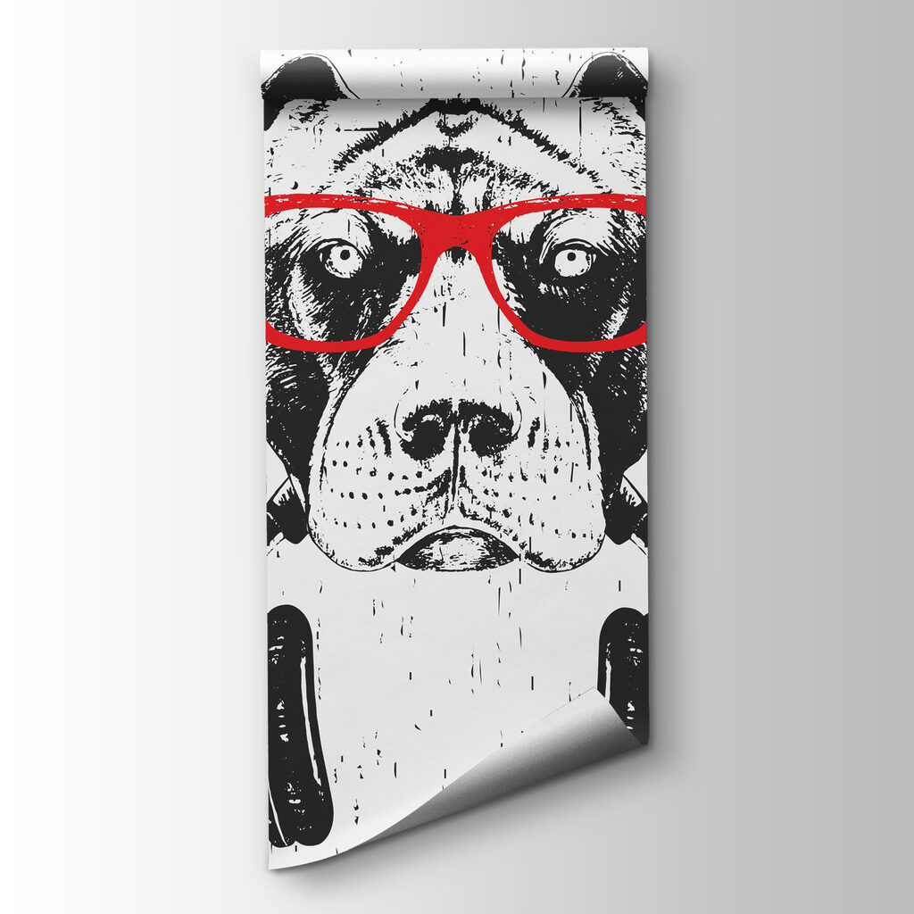 Hond met rode koptelefoon — productweergave