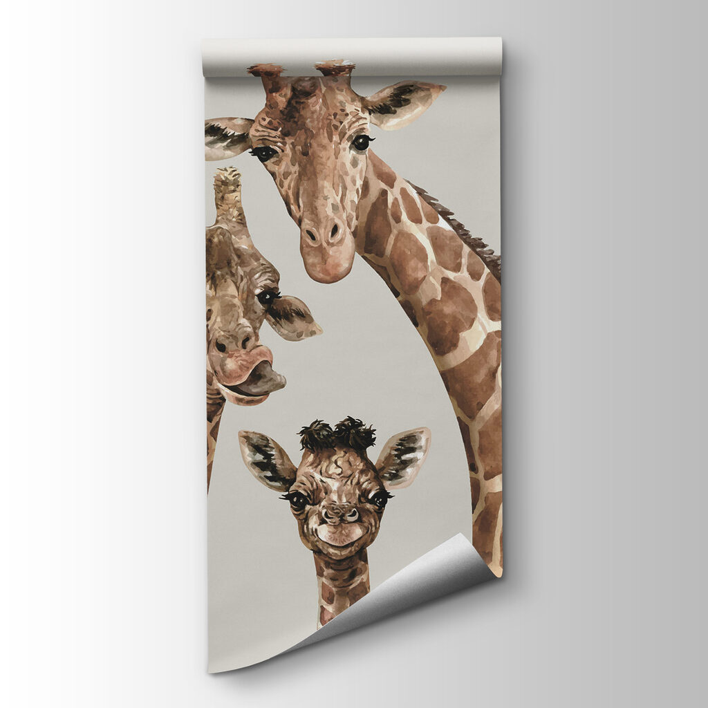 Drie giraffen kijken mee — productweergave