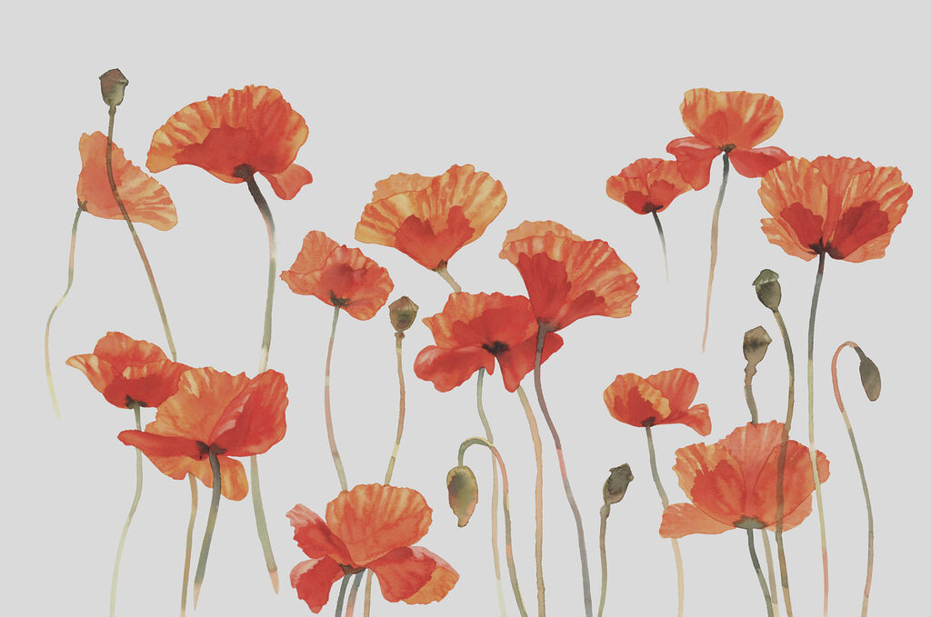 Een groep oranje bloemen — volledig ontwerp