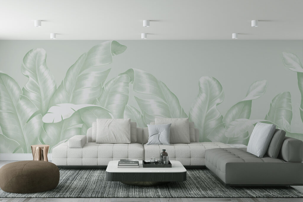 Bleke bladeren groeien omhoog — interieur 1