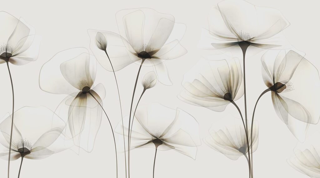Transparante bloemen op een witte achtergrond — volledig ontwerp