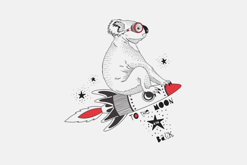 Koala op een raket — volledig ontwerp