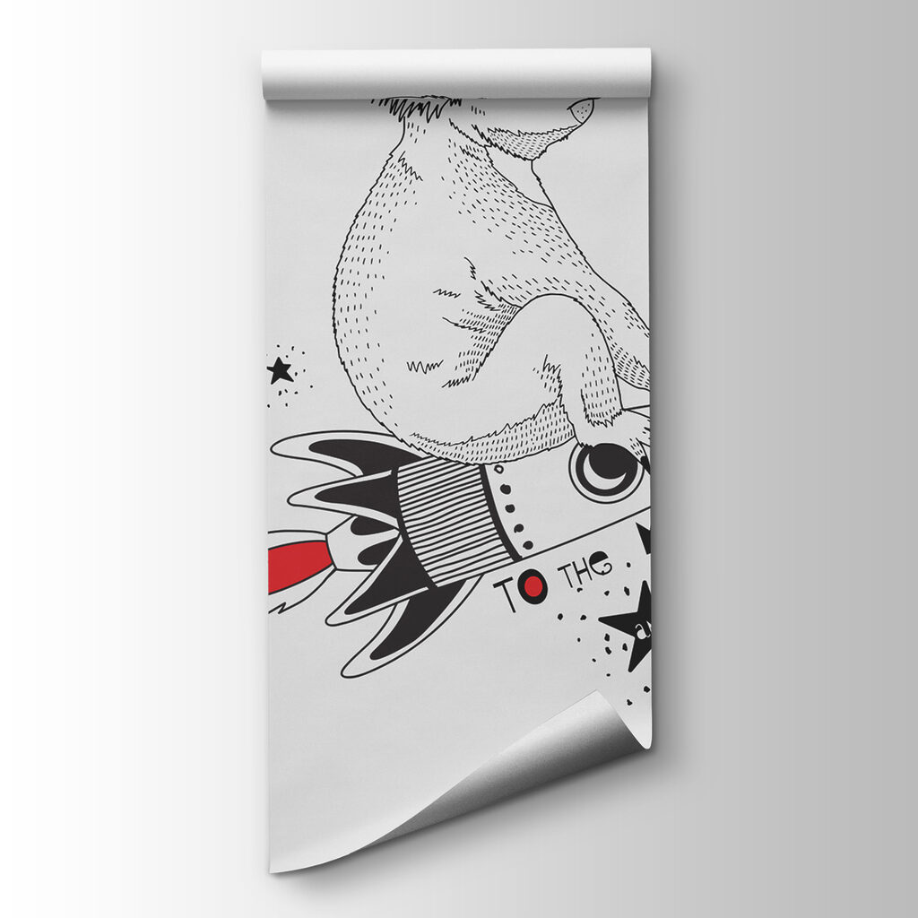 Koala op een raket — productweergave