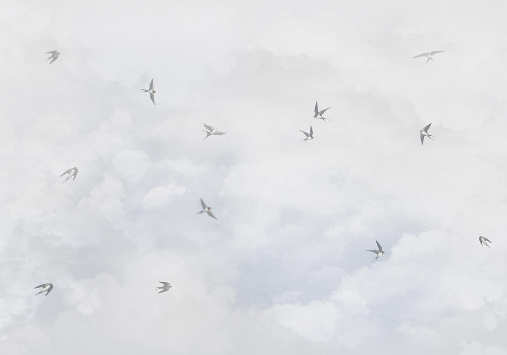 Vogels door witte wolkennevel — volledig ontwerp