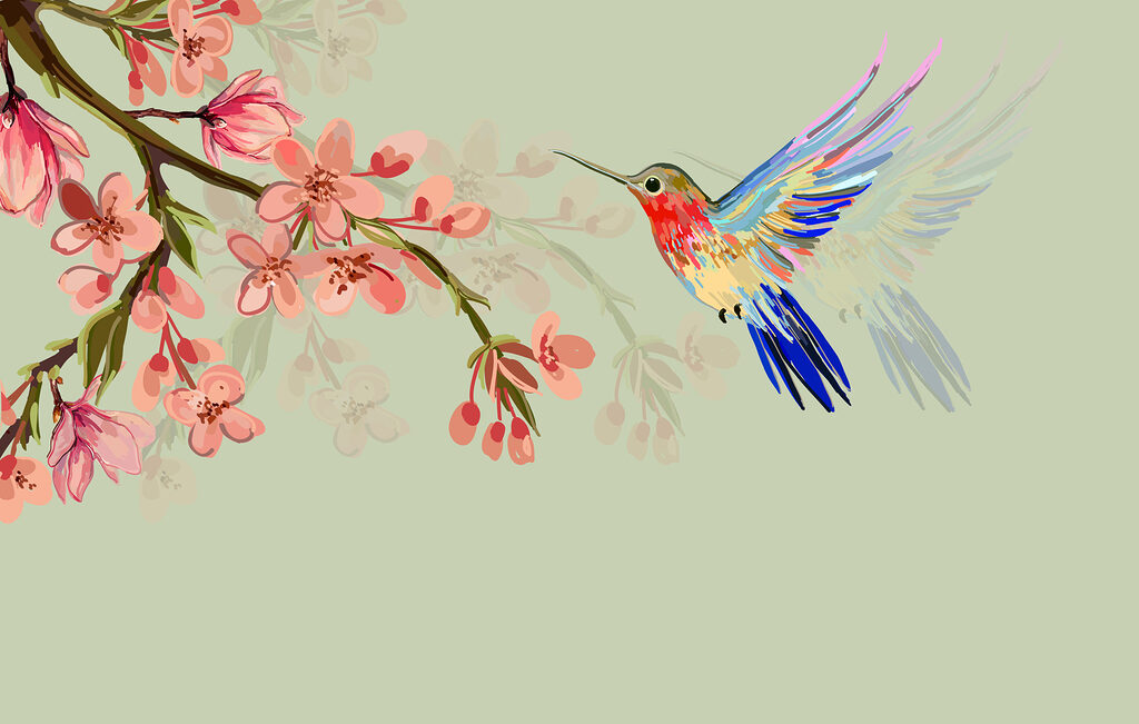 Kolibrie voor roze bloesem — volledig ontwerp