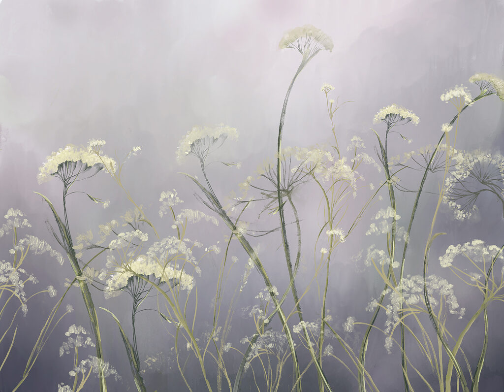 Witte schermbloemen op lila — volledig ontwerp