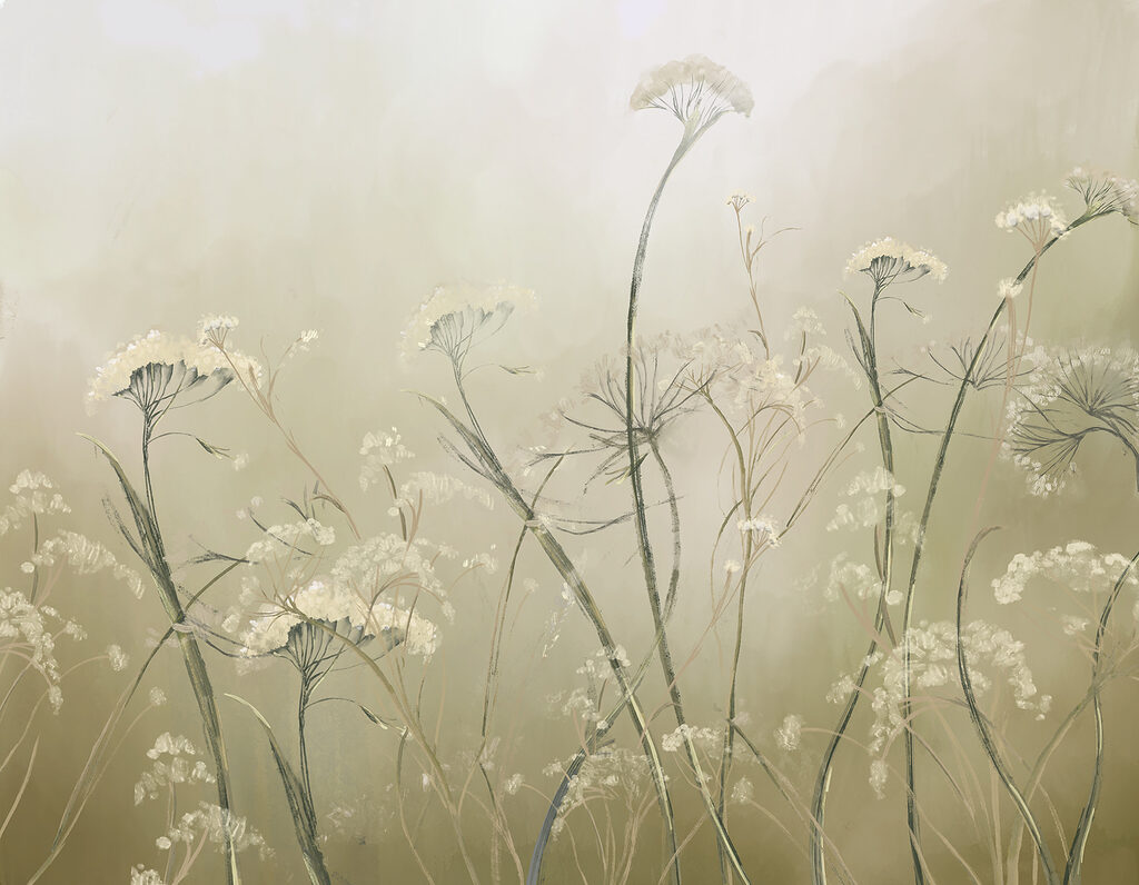 Schermbloemen in stille nevel — volledig ontwerp