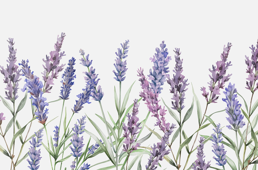 Lavendel in fijne aquarel — volledig ontwerp