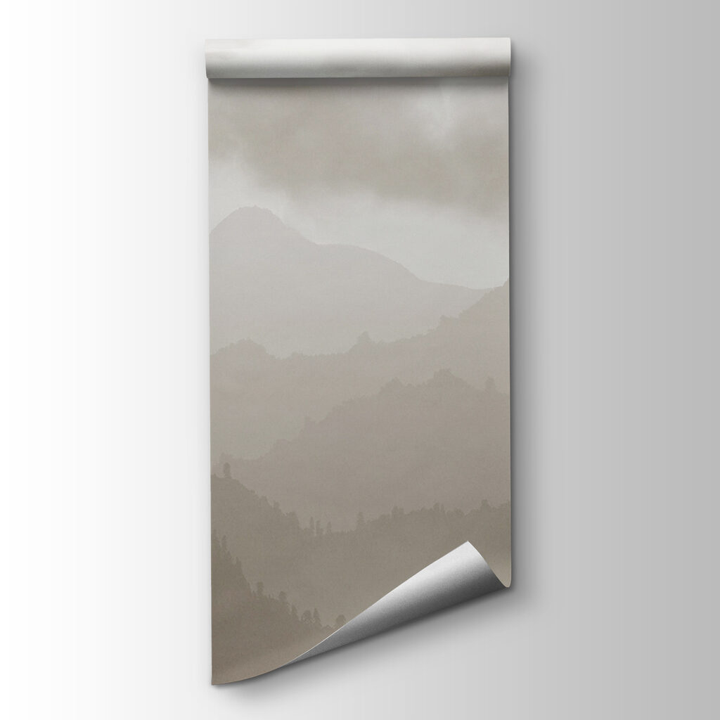 Bergbos onder lage wolken — productweergave