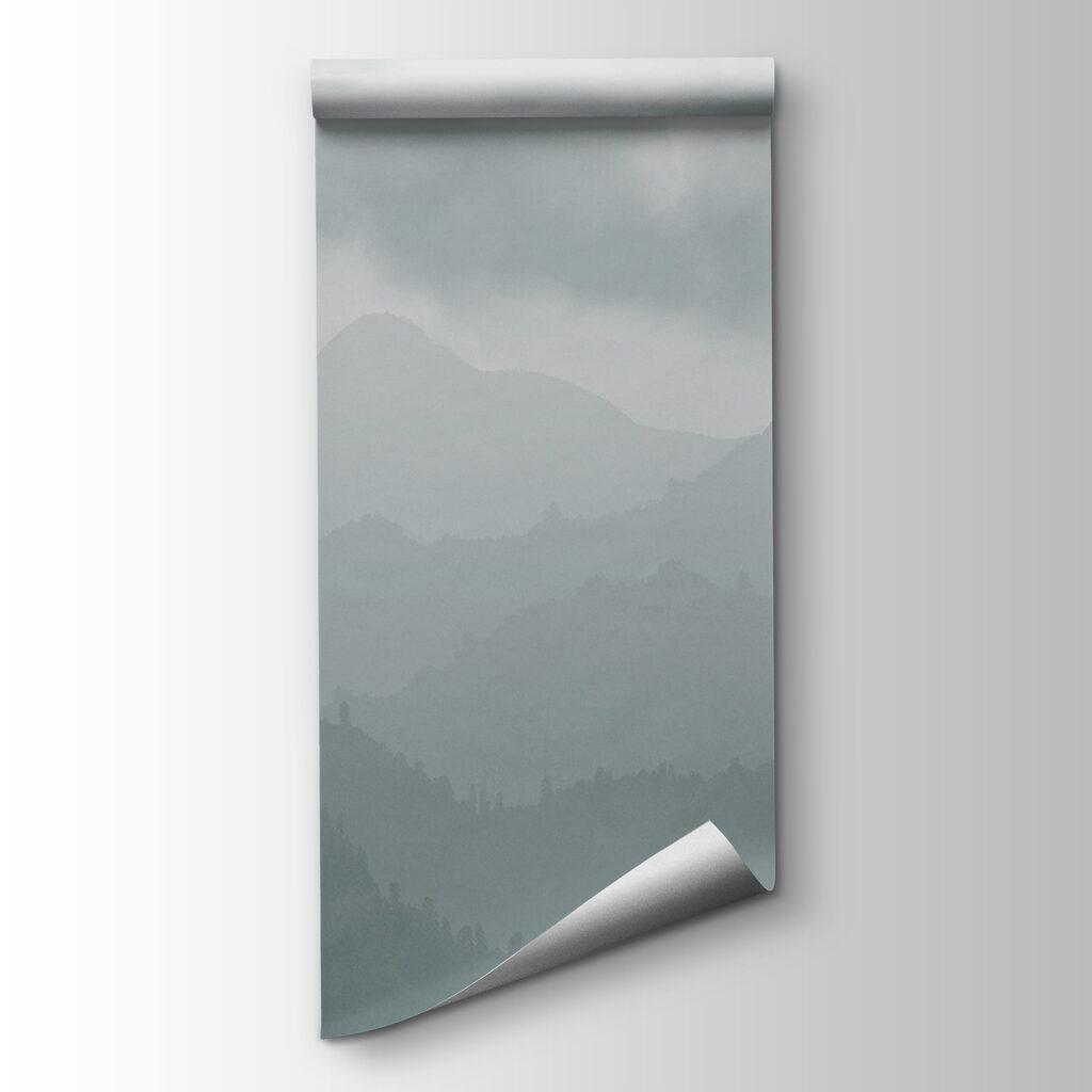 Bergbos onder lage wolken — productweergave